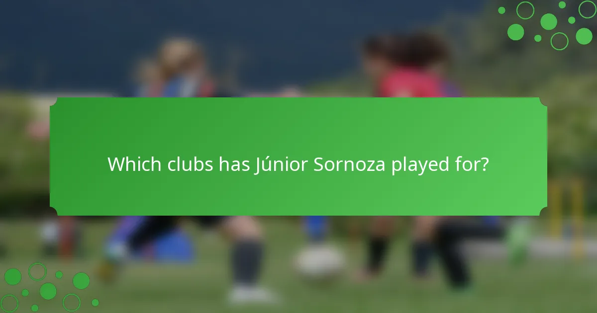 Which clubs has Júnior Sornoza played for?